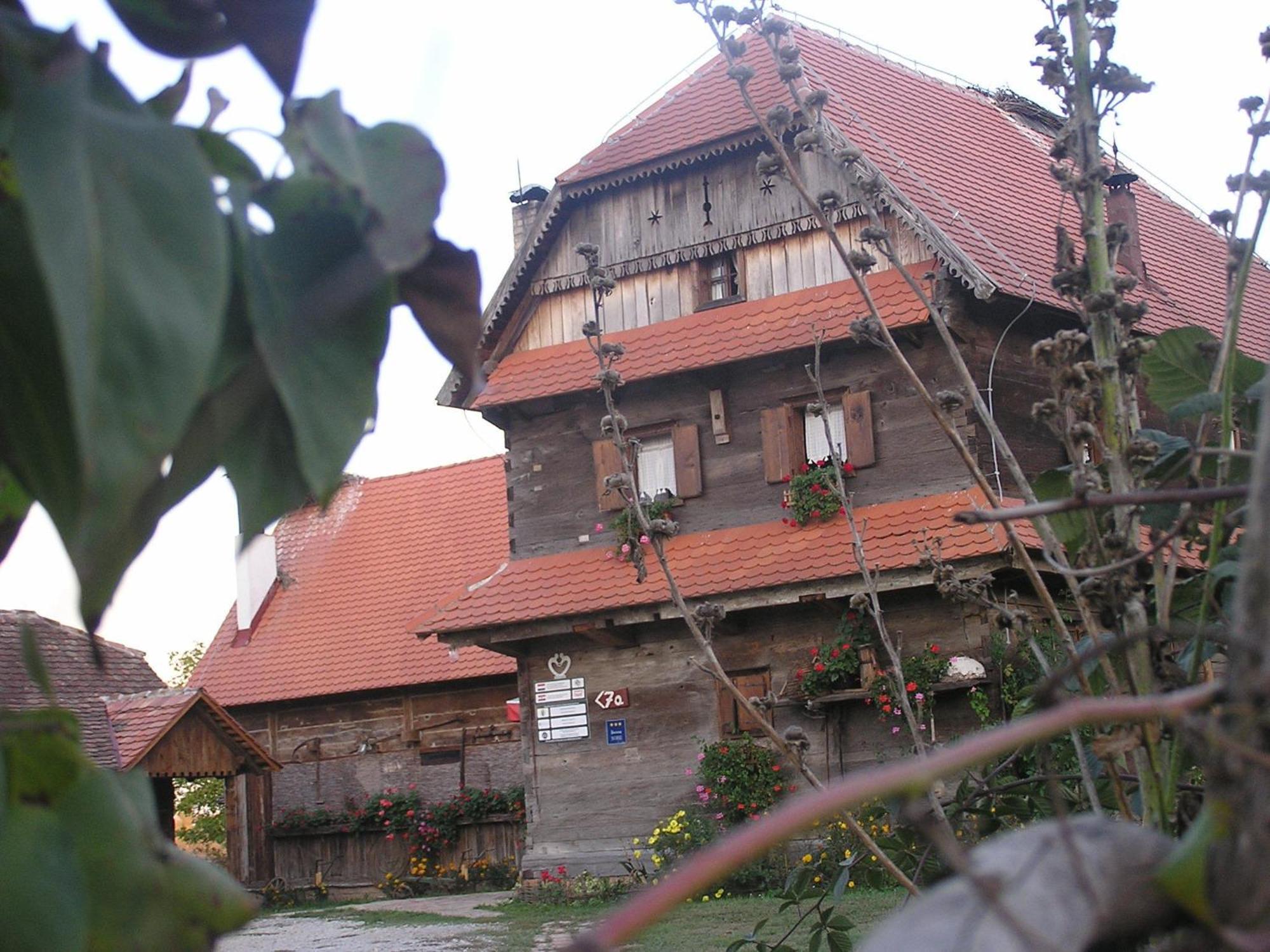 Отель Tradicije Cigoc Экстерьер фото