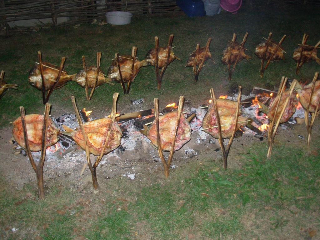 Отель Tradicije Cigoc Экстерьер фото